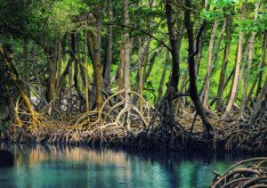 Que faire à Punta Cana : une faune et une flore incroyables