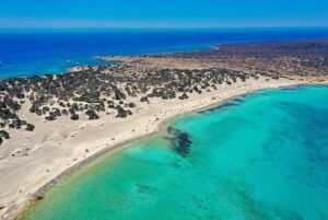 Plus belles îles de Crète : Île Chrissi